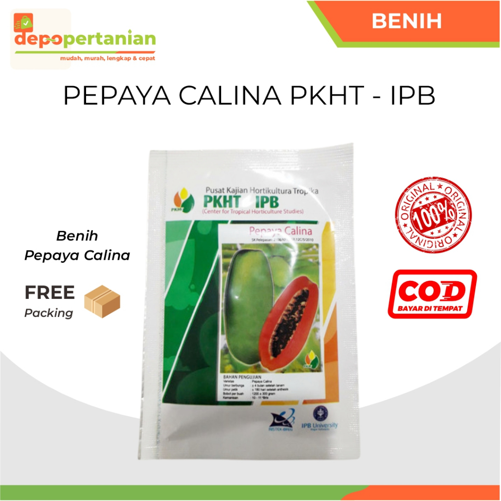 Depo Pertanian - Benih Pepaya Calina PKHT-IPB isi 250 butir Bibit Pepaya California