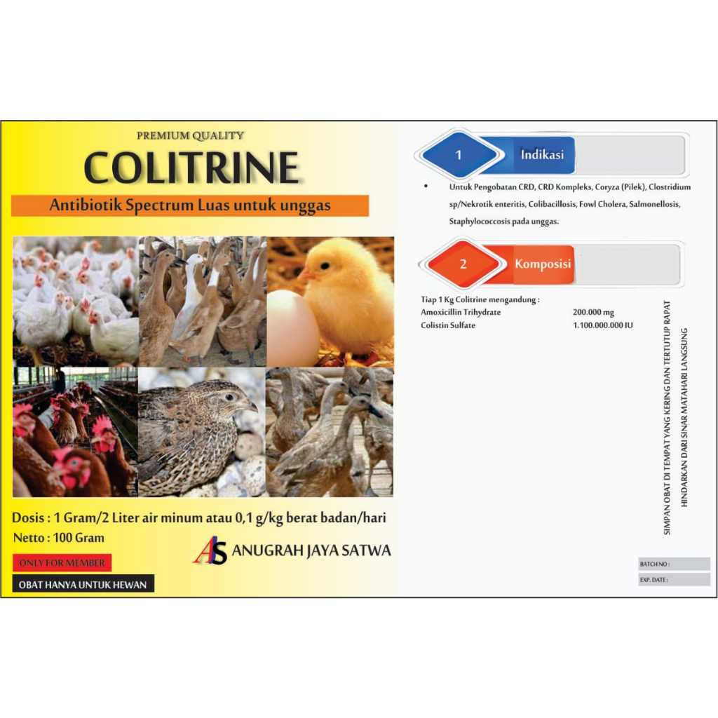 COLITRINE - Antibiotik Unggas
