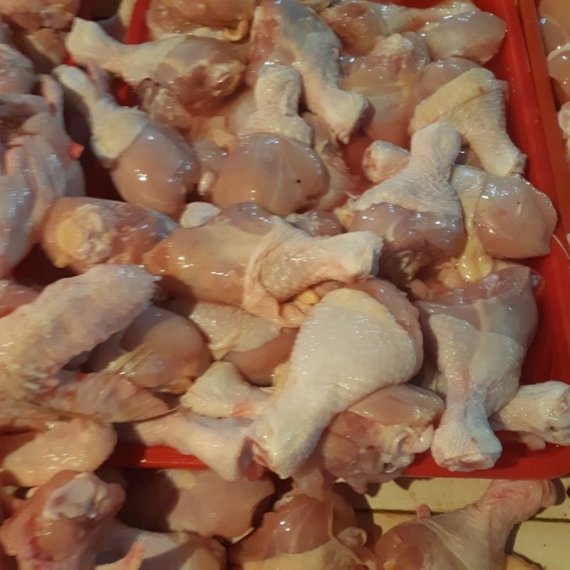 

paha pentung paha upin ipin paha drum stik ayam fress ayam segar