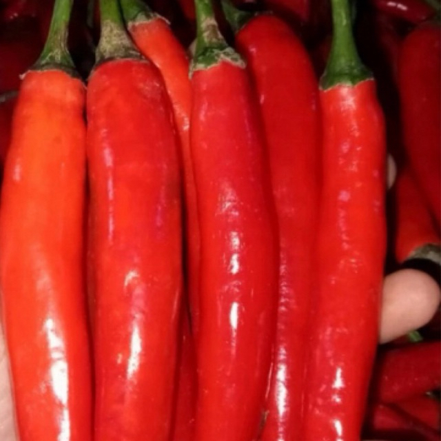 

Cabe Merah TW