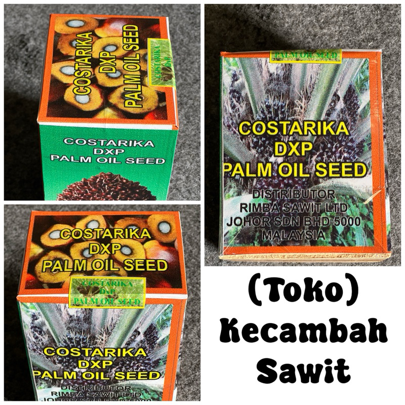 bibit sawit Costarika 250 butir