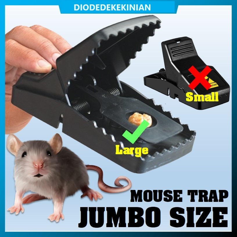 MBOISGET - VERSI JUMBO JEBAKAN TIKUS JEPRETAN PERANGKAP TIKUS MOUSE TRAP OTOMATIS MUDAH SIMPLE AMPUH