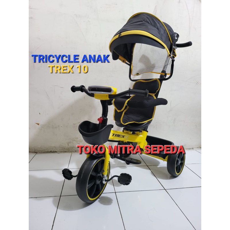 Sepeda Anak Roda 3 Trex 10 Kursi Putar Musik Lampu Nyala