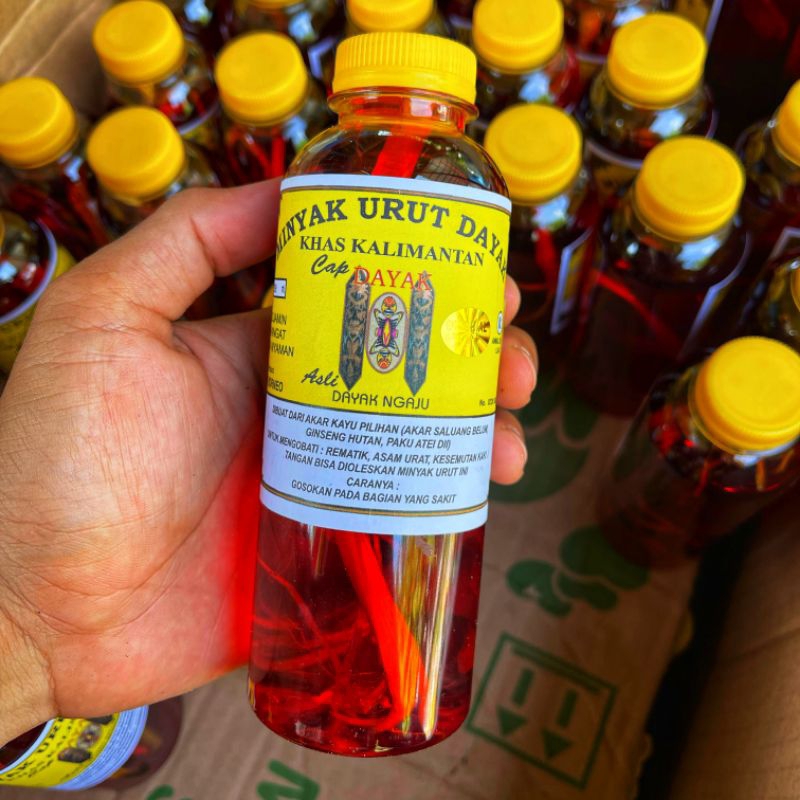 Asli Minyak Urut Dayak Arif Borneo