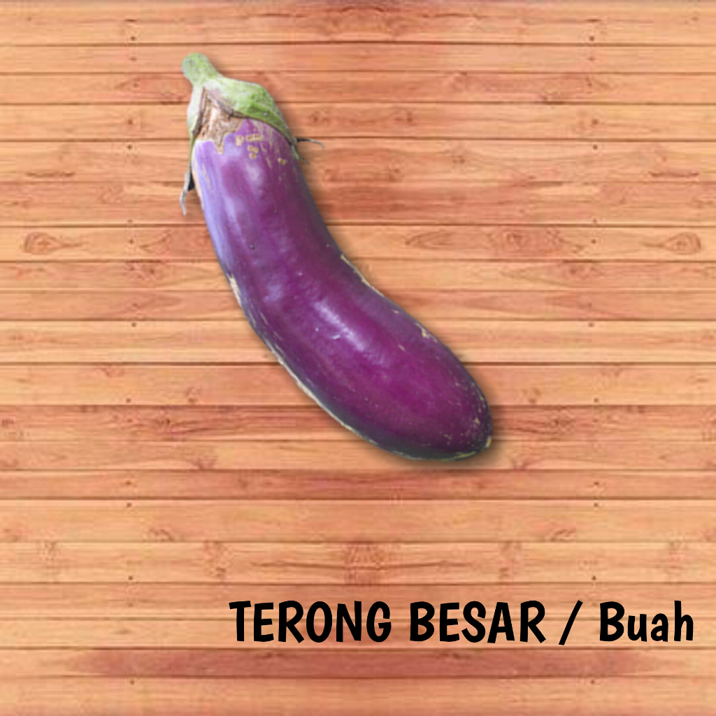 

TERONG SAYUR SEGAR / buah | PROMO TOKO BARU SUPER MURAH
