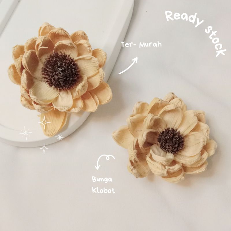 KLOBOT BUNGA MATAHARI