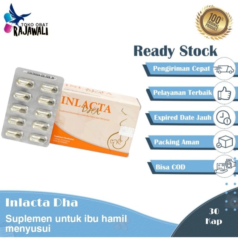 Inlacta dha for mother vitamin ibu hamil menyusui perbox