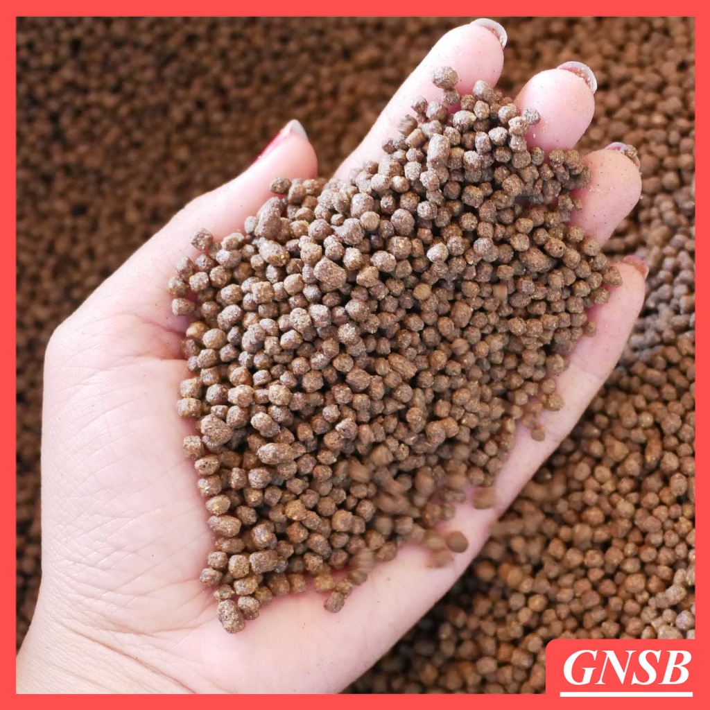 PAKAN IKAN LELE KECIL PLA-2 MASA PERTUMBUHAN