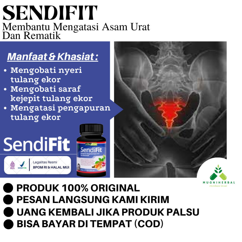 Obat Sakit Tulang Ekor, Saraf Kejepit Tulang Ekor, Pengapuran Tulang Ekor, Tulang Ekor Menonjol, Oba