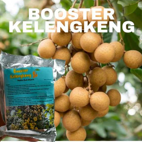 Booster Boster Kelengkeng Perangsang Buah Kelengkeng murah