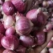 

bawang merah