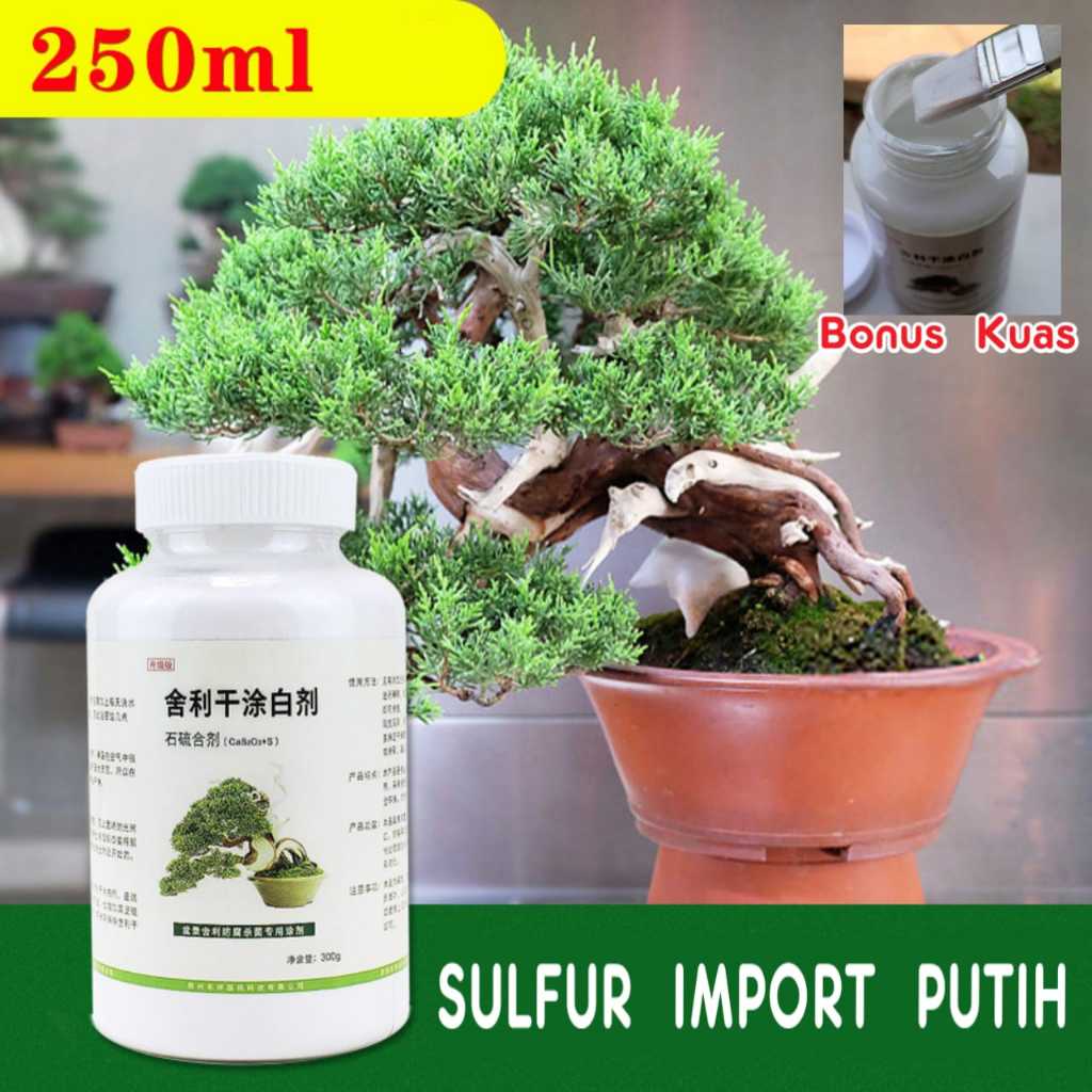 Lime sulfur bonsai best premium import culity warna putih 250 ml