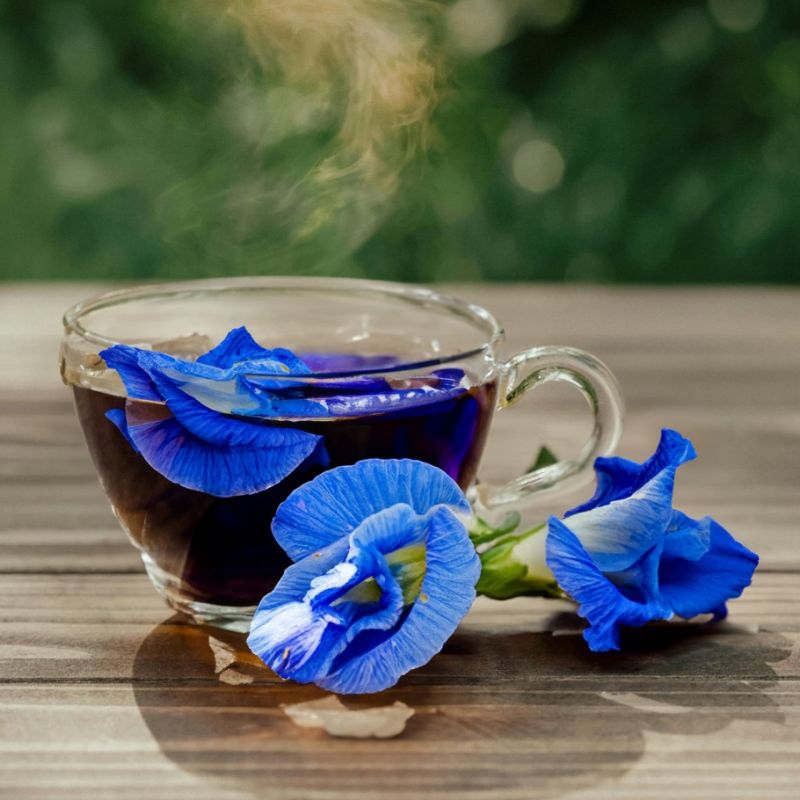 

teh bunga butterfly pea alami 100% original tanpa campuran bahan kimia 10 tea bag teh celup murah teh butterfly pea murah