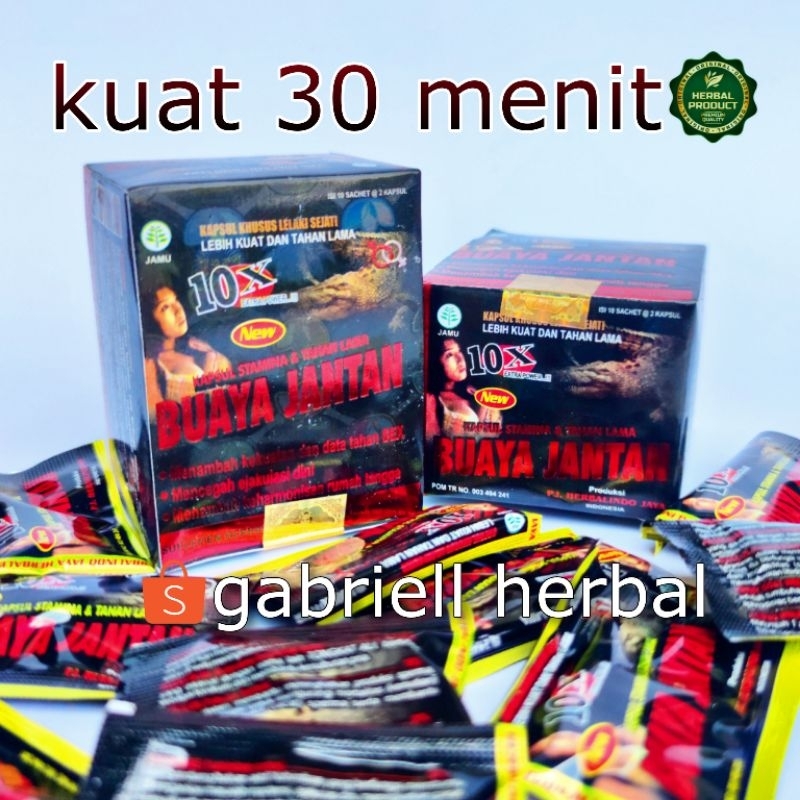 BUAYA JANTAN ORIGINAL. kapsul buaya jantan asli.