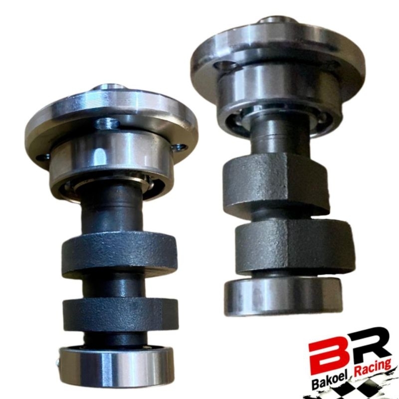 NOKEN AS MENTAH TIGER NOKEN AS BAHAN CAM TIGER