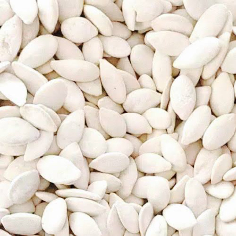 

KUACI PUTIH 500 GR / KUACI BIJI LABU SUPER / KUACI WALUH / KWACI PUTIH SUPER