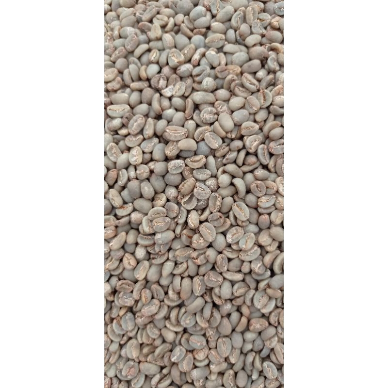 

Green Bean Arabika Gayo Aceh 1kg