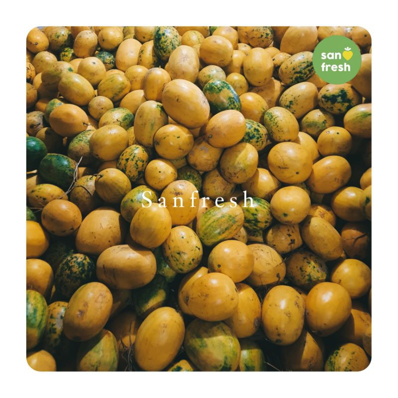 

Sensasi Segar Manis Semangka Golden - Nikmati Kesegaran Istimewa! - Sanfresh