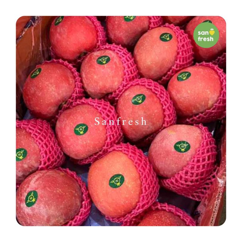 

Apel Fuji Bluss Premium - Manis Renyah, Warna Cantik, Kaya Nutrisi! - Sanfresh