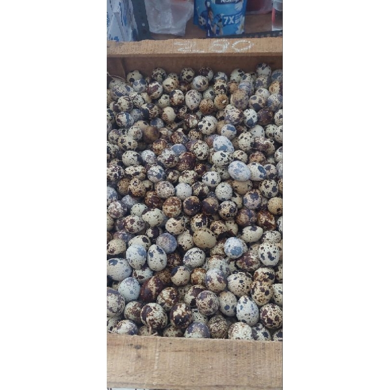 Telur Puyuh Rebus Siap Makan
