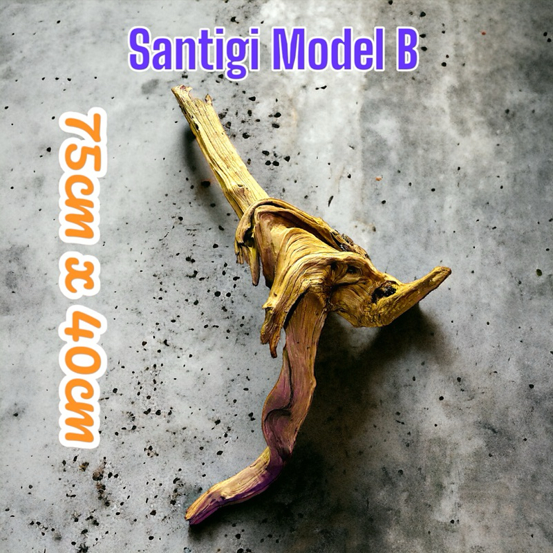 Akar Kayu SANTIGI Aquascape Tenggelam