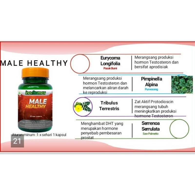 Aurabaik Stamina Pria Inavitamax Healthy Male Isi 30 Kapsul / Healthy Male Mengandung Tribulus /