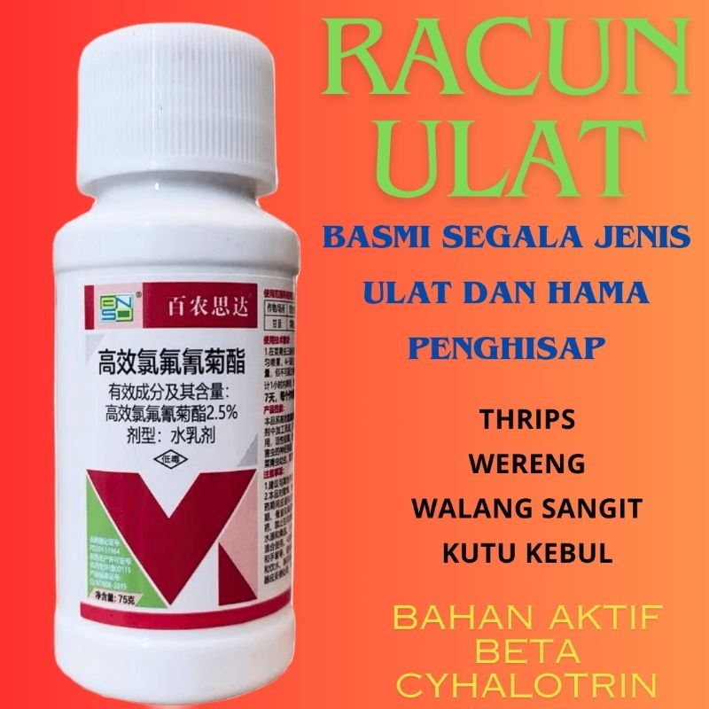 RACUN ULAT PEMBASMI ULAT INSEKTISIDA PESTISIDA RACUN THRIPS PEMBASMI THRIPS RACUN WERENG PEMBASMI WE