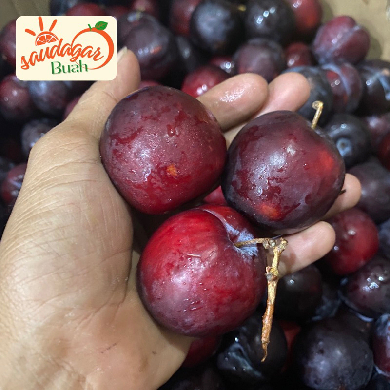 

BUAH PLUM IMPORT RRC ASAM SEGAR 500GRAM