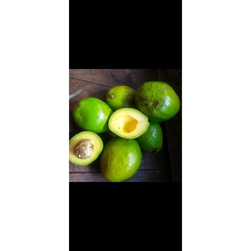 

Alpokat mentega lezat