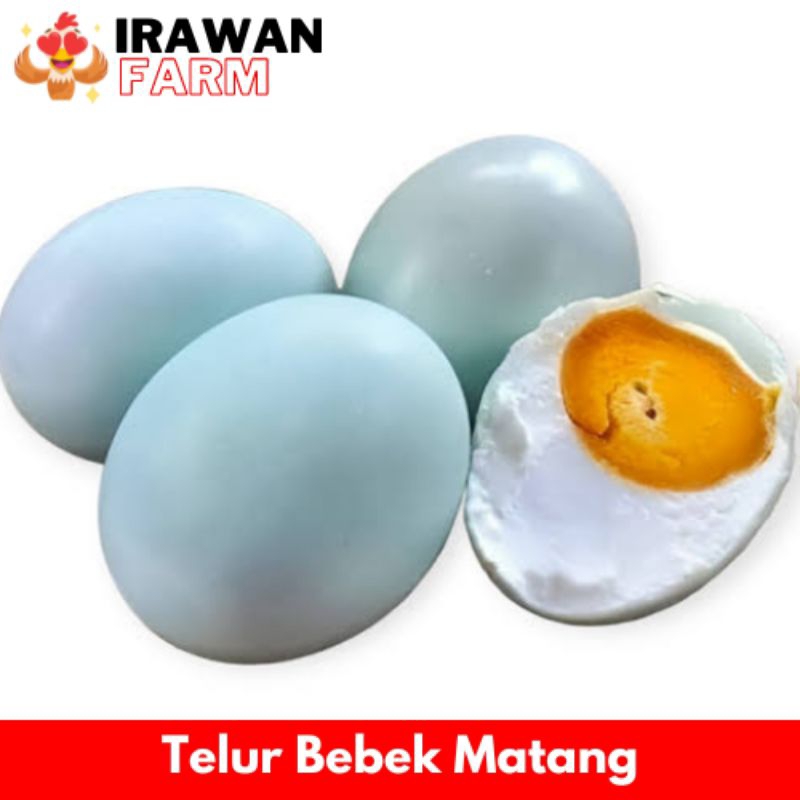 

TELUR ASIN MATANG