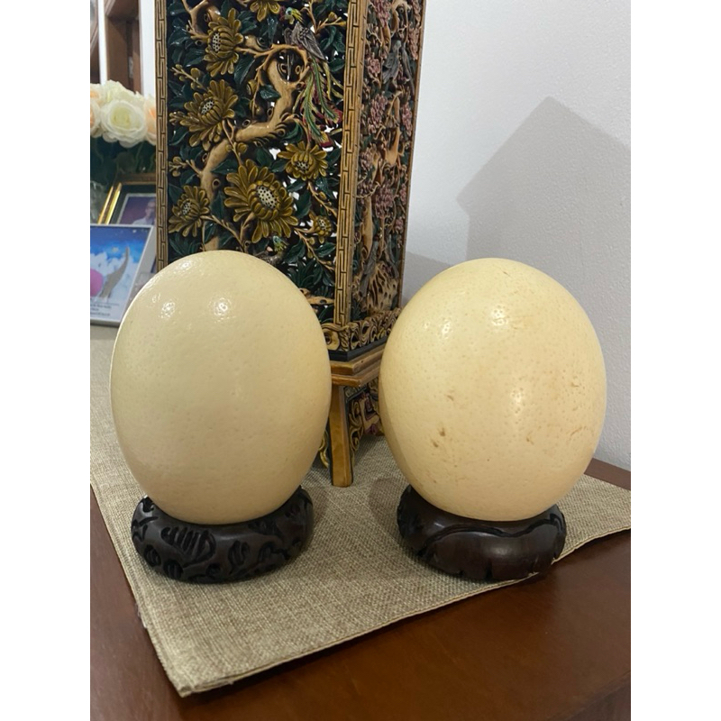 PAJANGAN TELUR OSTRICH (BURUNG UNTA) ORI