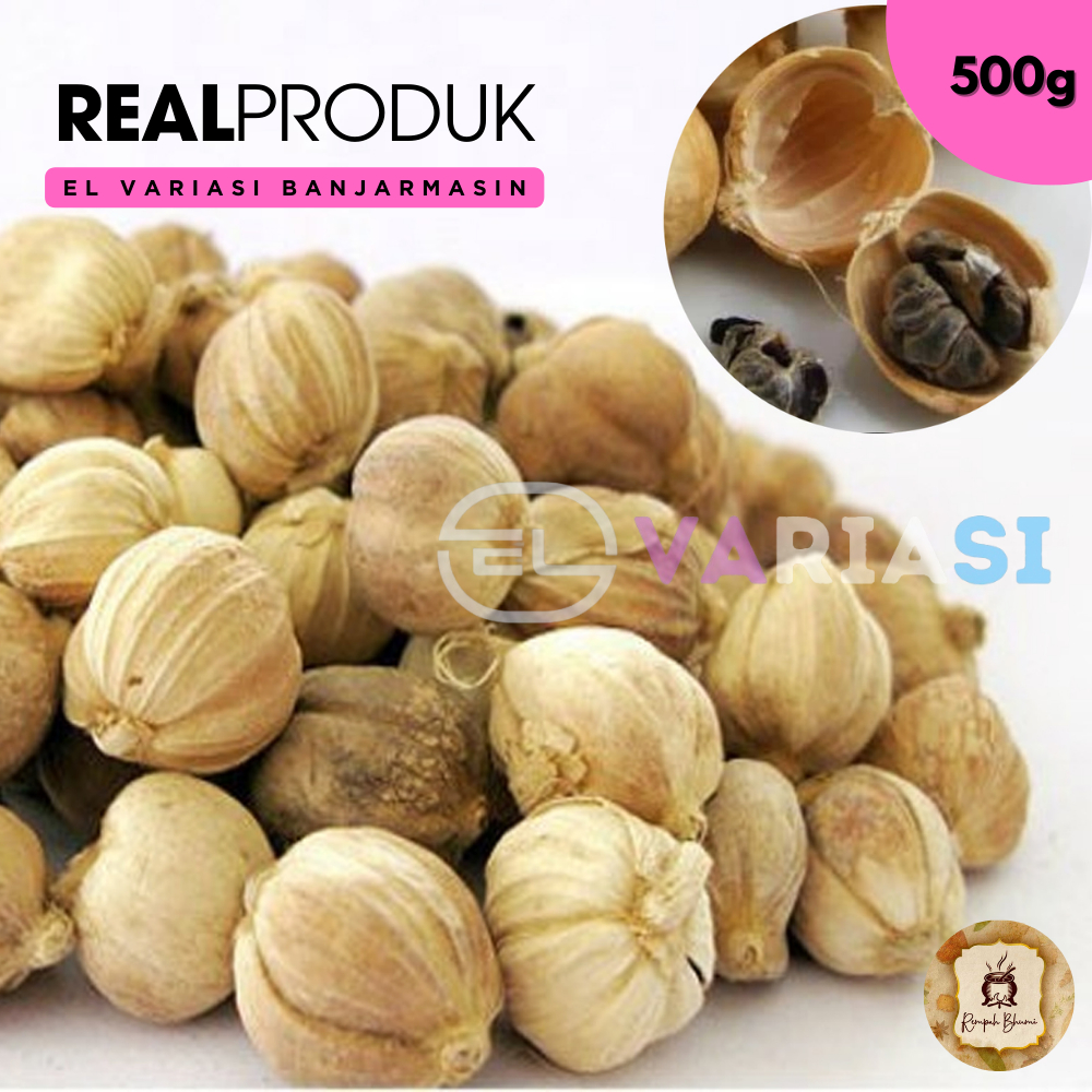 

500g || KAPULAGA KAPOLAGA ASLI / Kapulaga Jawa By. EL Variasi