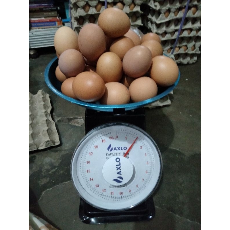 

Telur Ayam Negeri 2 kg