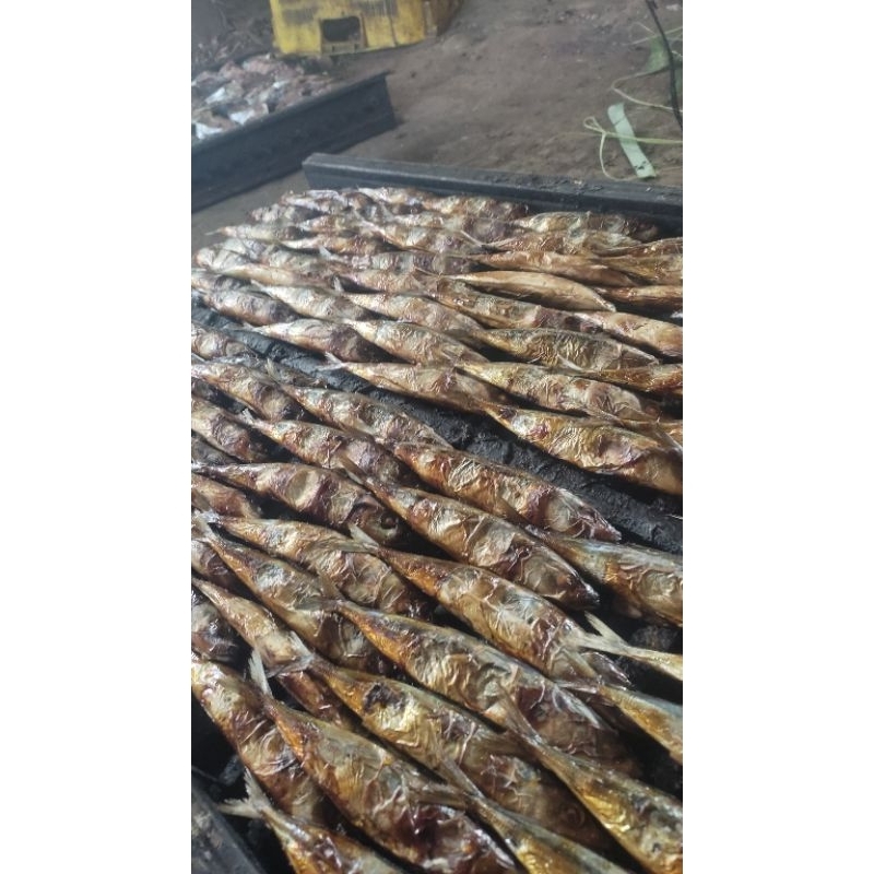 

IKAN LAYANG ASAP 10RB dapat 6.