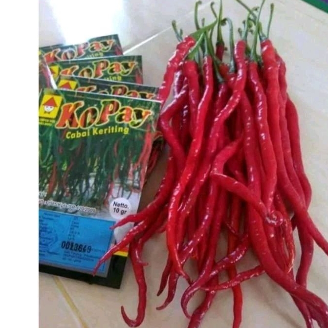 Benih Cabe Merah Keriting KOPAY- CMK KOPAY- benih cabe KOPAY