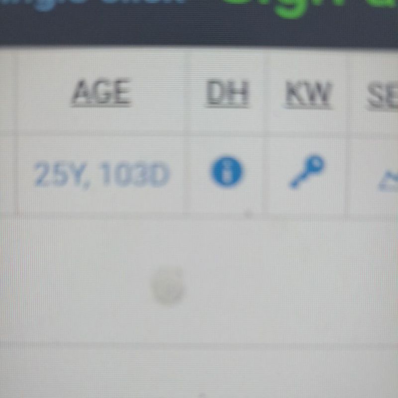 AGED DOMAIN 25YO