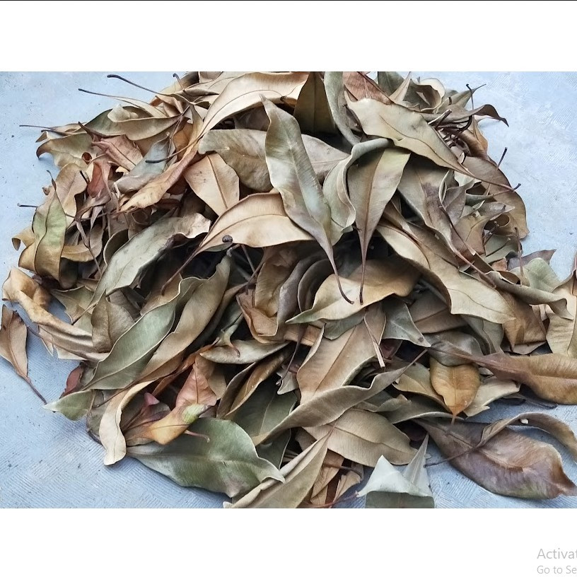 

Daun Cengkeh Kering Alami