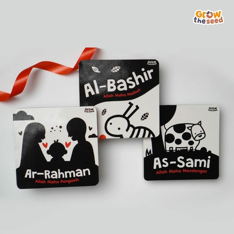 High Contrast Book Grow The Seed