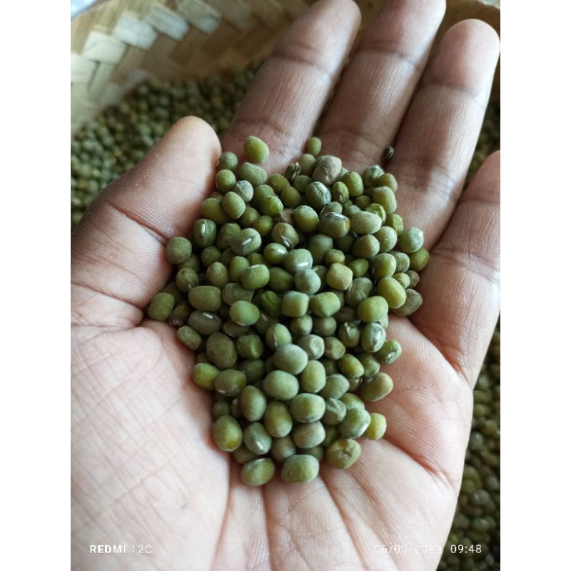 

KACANG HIJAU ORGANIK/ KACANG HIJAU BUBUR ASLI PETANI JAWA