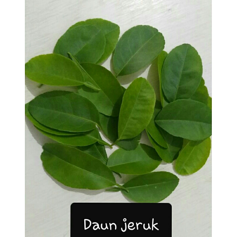 

Daun jeruk