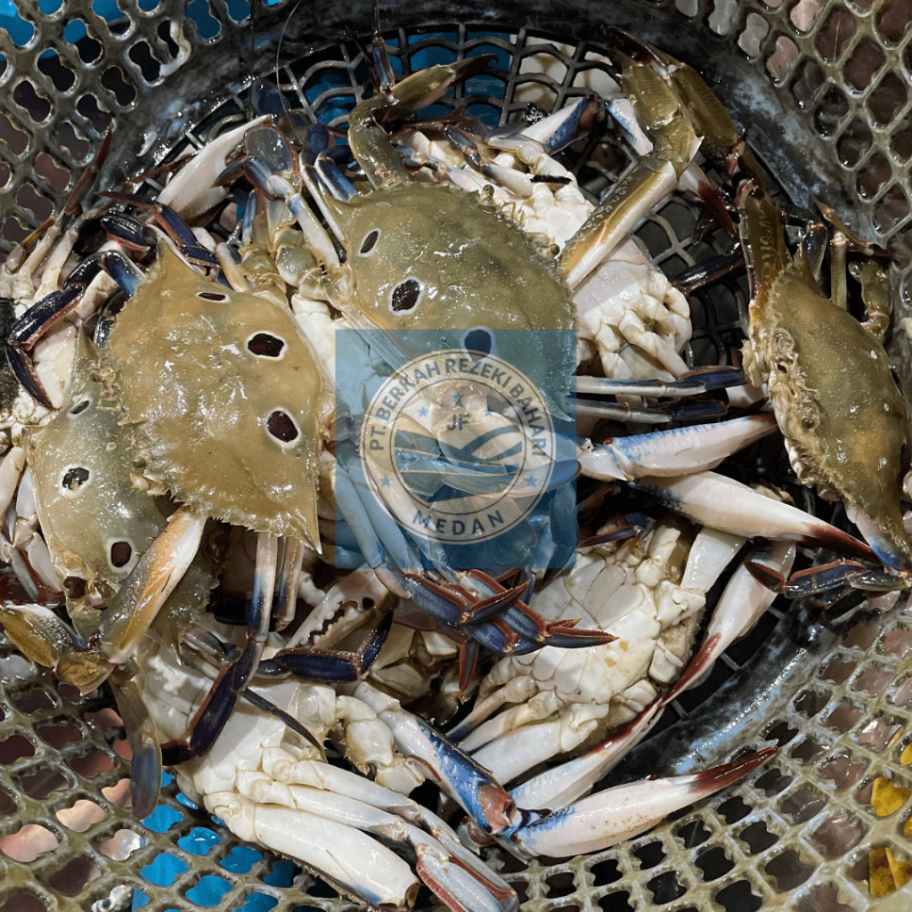 

Kepiting Rajungan mata tiga per kg