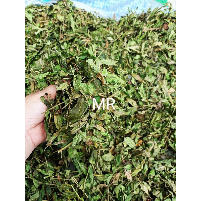 

daun mimba daun mindi kering 1 kg