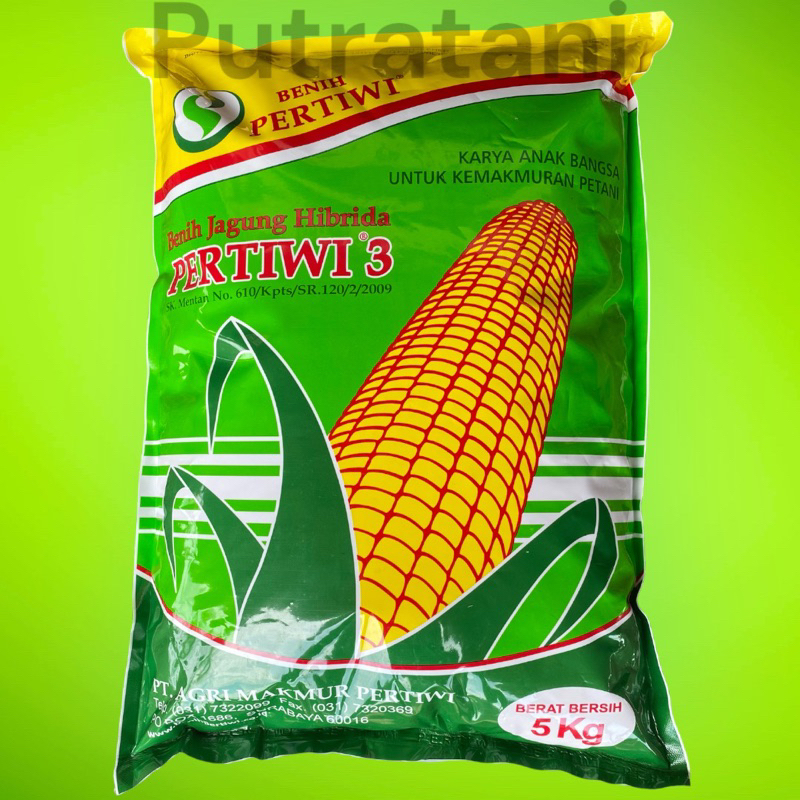 termurah Benih Jagung Hibrida Pertiwi 3 Kemasan 5kg