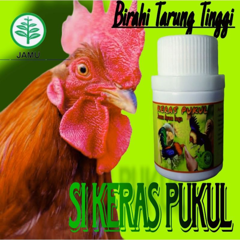 KAMU AYAM KERAS PUKUL isi 100 Butir doping ayam jago pakan ayam jago jalu aji setan merah raja kamla