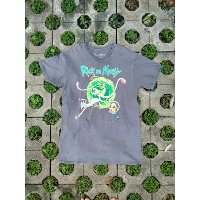 Kaos Second Cartoon Rick and Morty