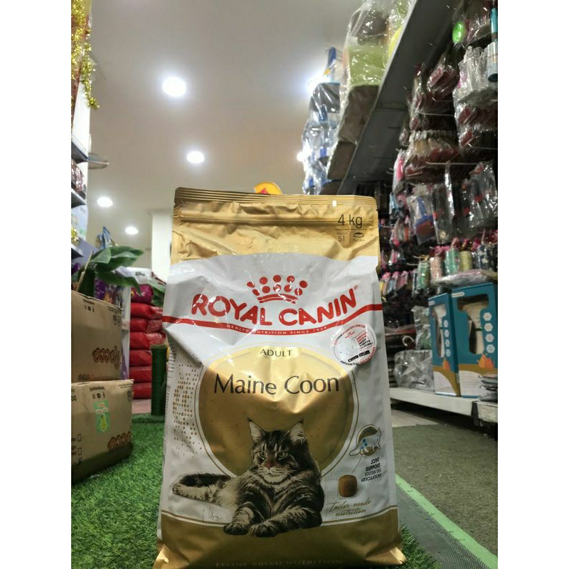 Royal canin Mainecoon adult 4 Kg