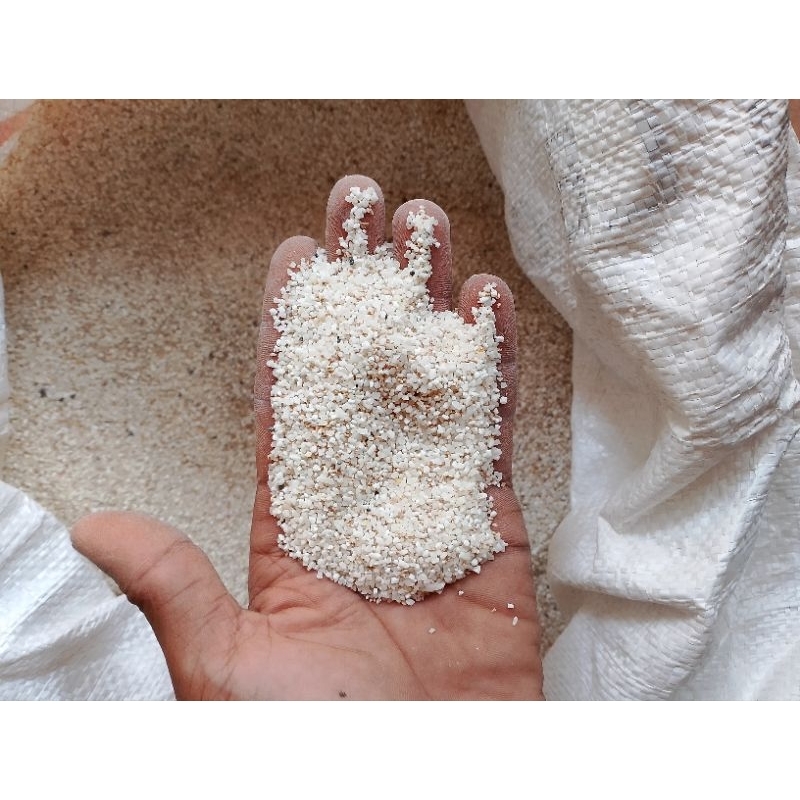 

meniran nasi