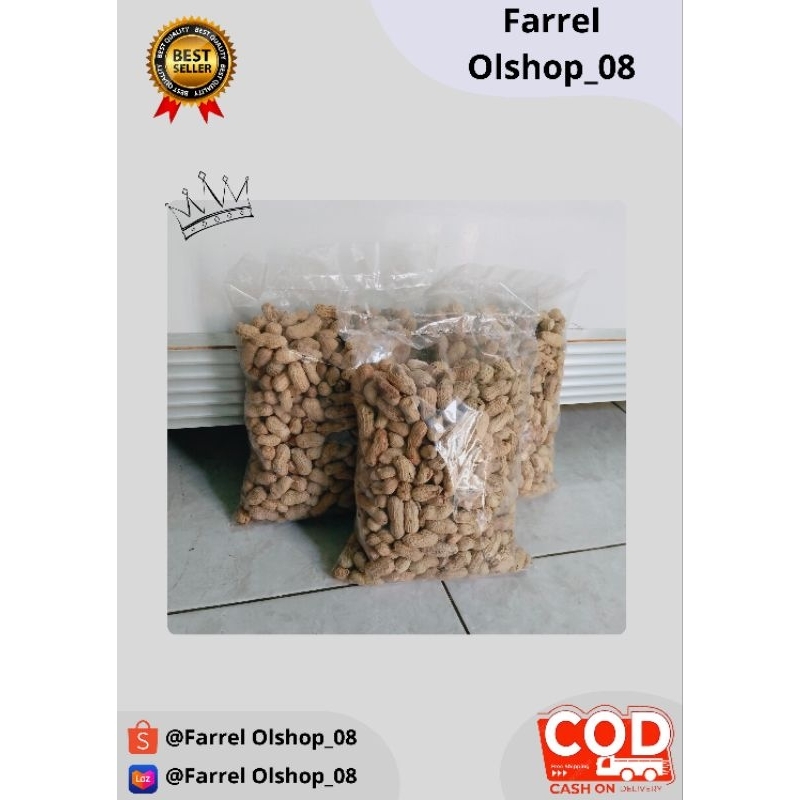 

Kacang Kulit Sangrai || Kacang Tanah Gurih & Asin Kemasan 500gram || Cemilan Ringan || Halal || Harga Langsung dari Pabrik Murah Meriah