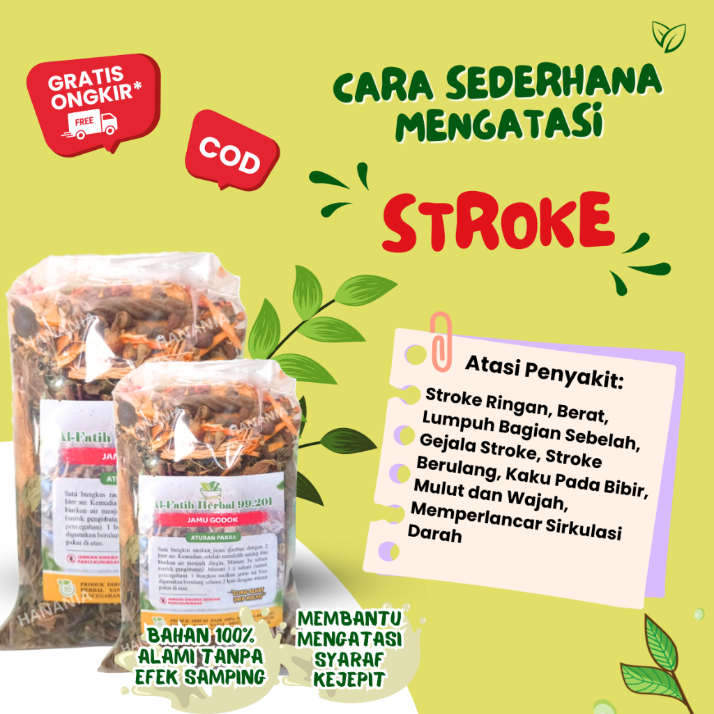 OBAT STROKE - OBAT STROKE RINGAN - STROKE BERAT - HIPERTENSI - Jamu Herbal Stroke Ringan, Obat Lumpu