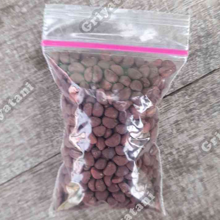 Benih Kangkung Cabut kangkung darat 20 gram repack